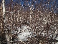 rra delle Concazze-20110410 002